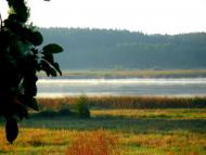 Нехворощ з panoramio.com