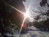 Ясенівці з panoramio.com