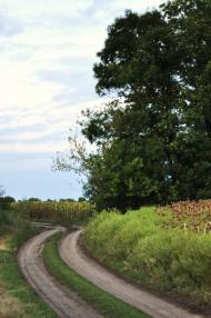Маринопіль з panoramio.com