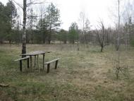 Гамарня з panoramio.com