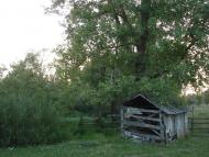 Безіменне з panoramio.com