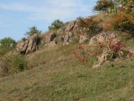 Казавчин з panoramio.com