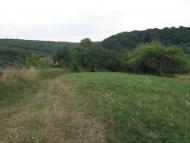 Бродки з panoramio.com