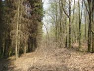 Безіменне з panoramio.com