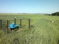 Ковиничі з panoramio.com