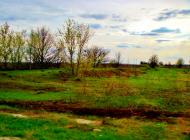 Довгалівське з panoramio.com