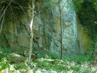 Польове з panoramio.com