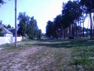 Сосонка з panoramio.com