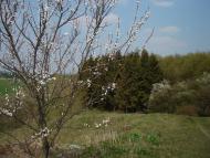 Безіменне з panoramio.com