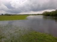 Бузаки з panoramio.com