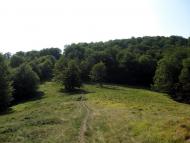 Вучкове з panoramio.com