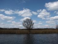 Таганка з panoramio.com