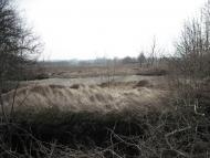 Велика Любаша з panoramio.com