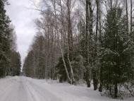 Луч з panoramio.com