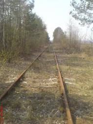 Великі Кошарища з panoramio.com