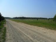 Зелениця з panoramio.com