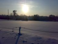 Мачухи з panoramio.com