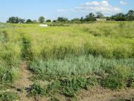 Єлизаветівка з panoramio.com