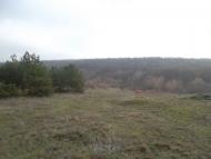 Захарівка з panoramio.com