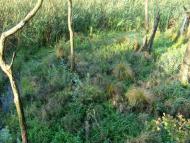 Оржів з panoramio.com