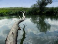 Таганка з panoramio.com