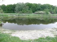 Заріг з panoramio.com