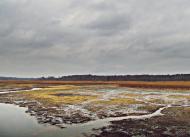 Верещиця з panoramio.com