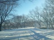 Саранчуки з panoramio.com