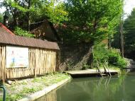 Раково з panoramio.com