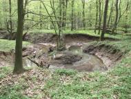 Середнє з panoramio.com