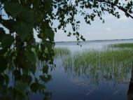 Кропивенка з panoramio.com