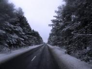 Красний Бір з panoramio.com