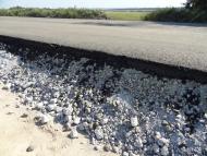 Сурсько-Литовське з panoramio.com