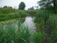 Тепениця з panoramio.com