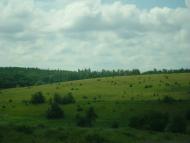 Березівка з panoramio.com