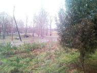 Рогізне з panoramio.com