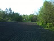 Мочалище з panoramio.com