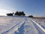 Гринів з panoramio.com