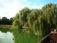 Бобрик Другий з panoramio.com