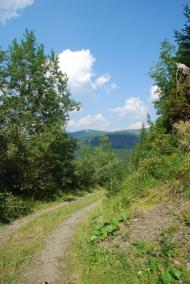 Бребоя з panoramio.com