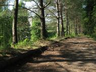 Суха Долина з panoramio.com