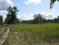 Вознесенське з panoramio.com