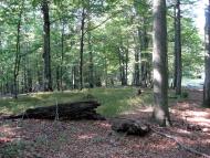 Вучкове з panoramio.com