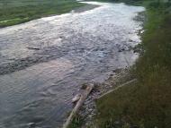 Лопушанка-Хомина з panoramio.com