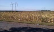 Добропілля з panoramio.com