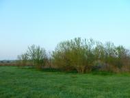 Новосвітівка з panoramio.com