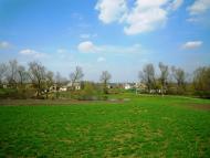 Сальниця з panoramio.com