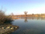 Вірівка з panoramio.com