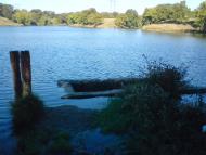 Золотарівка з panoramio.com