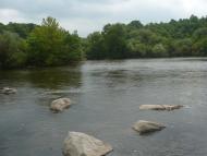 Шершні з panoramio.com